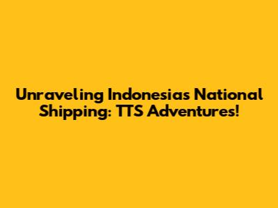 Unraveling Indonesia's National Shipping: TTS Adventures!